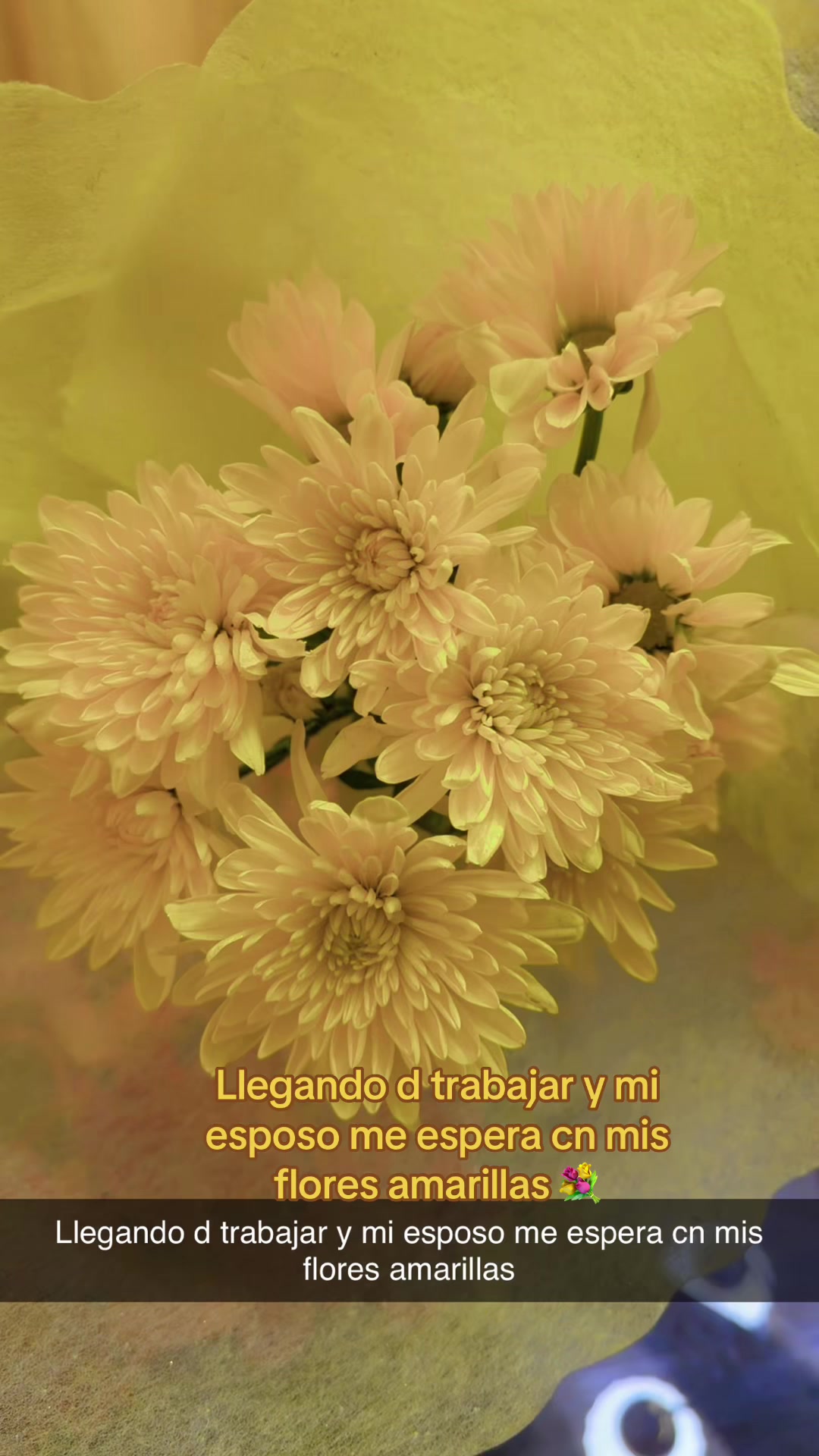 @Cinthia D'Henriquez