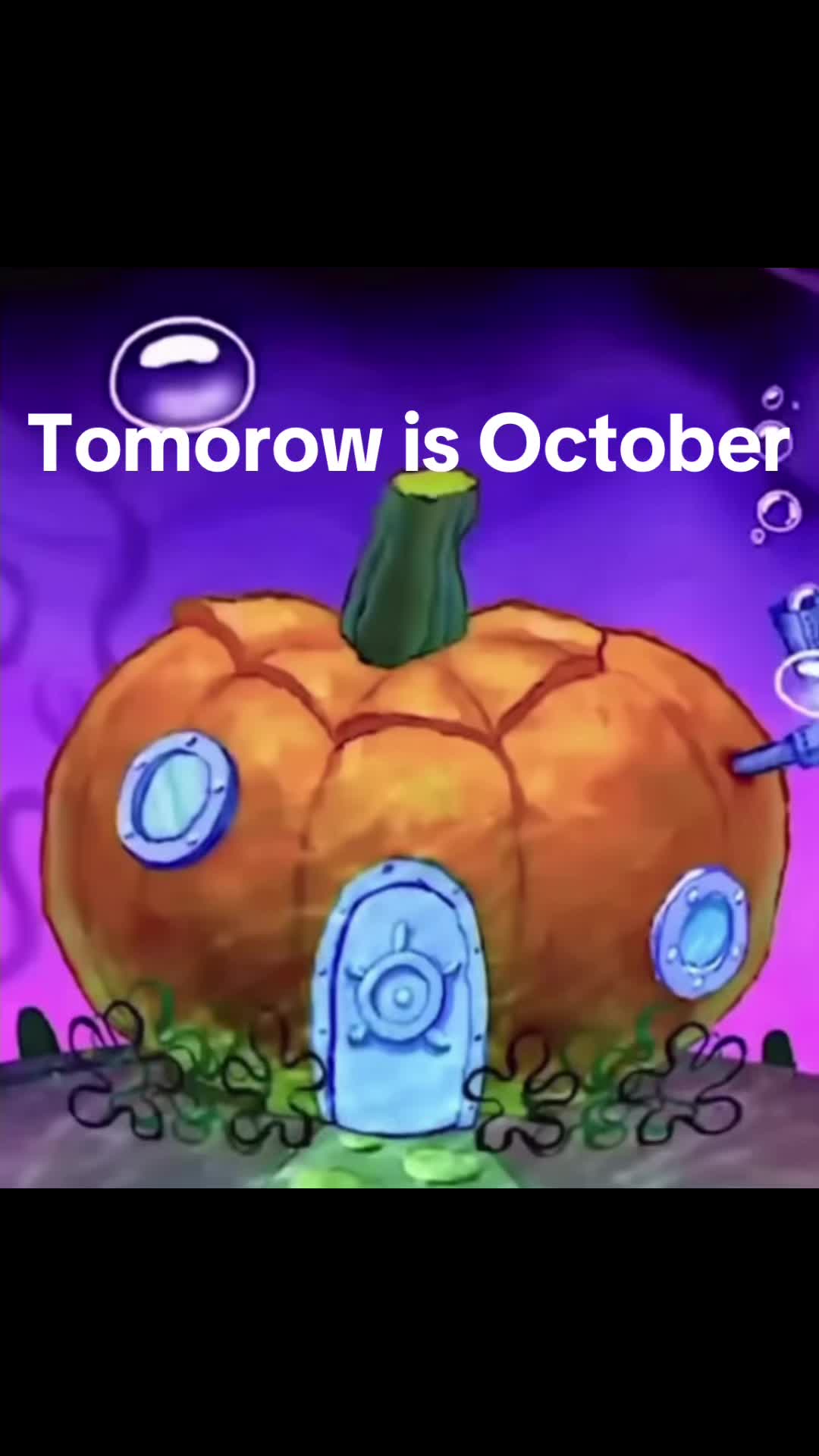 @Mrfish