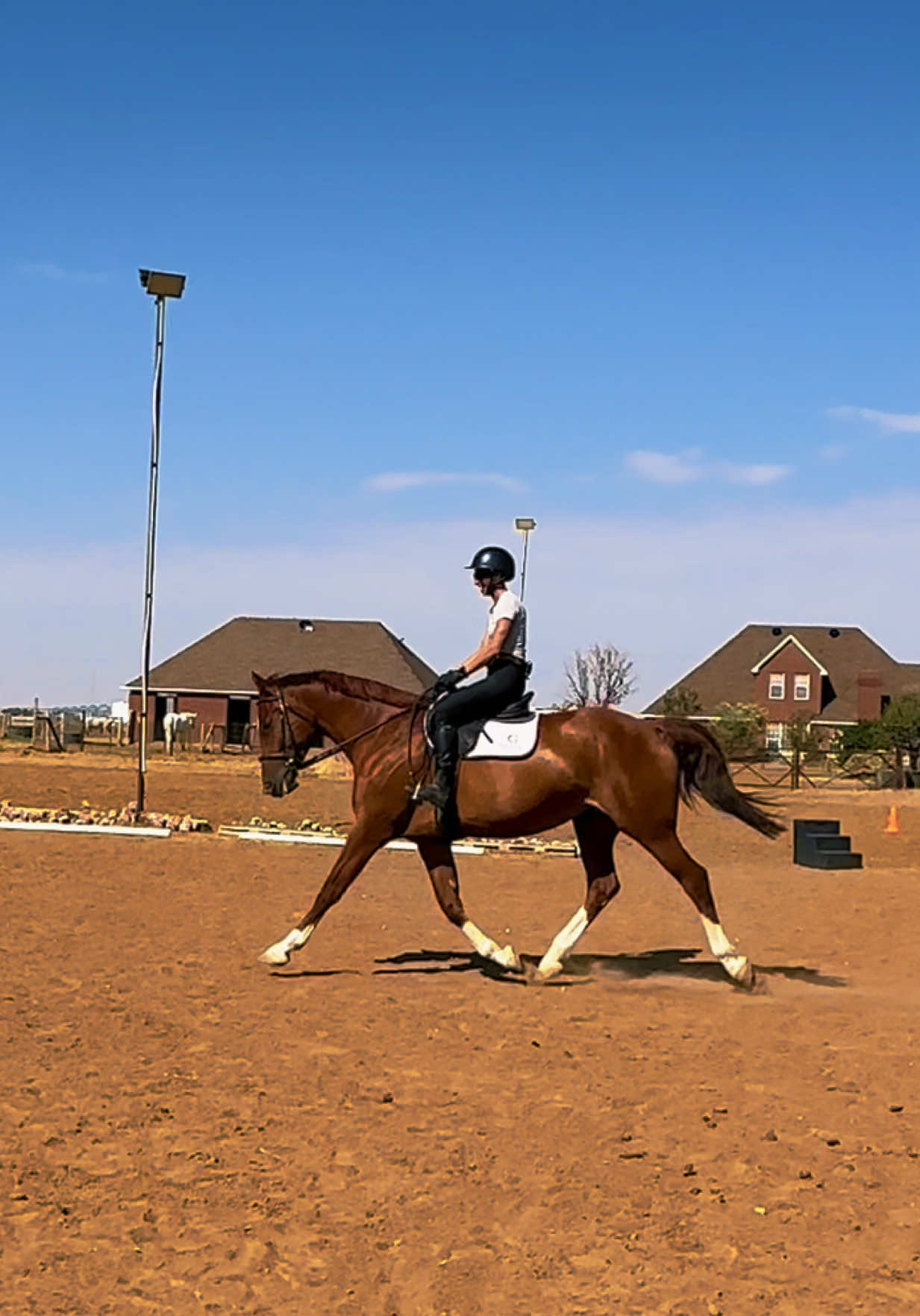 @Grace Equestrian TX