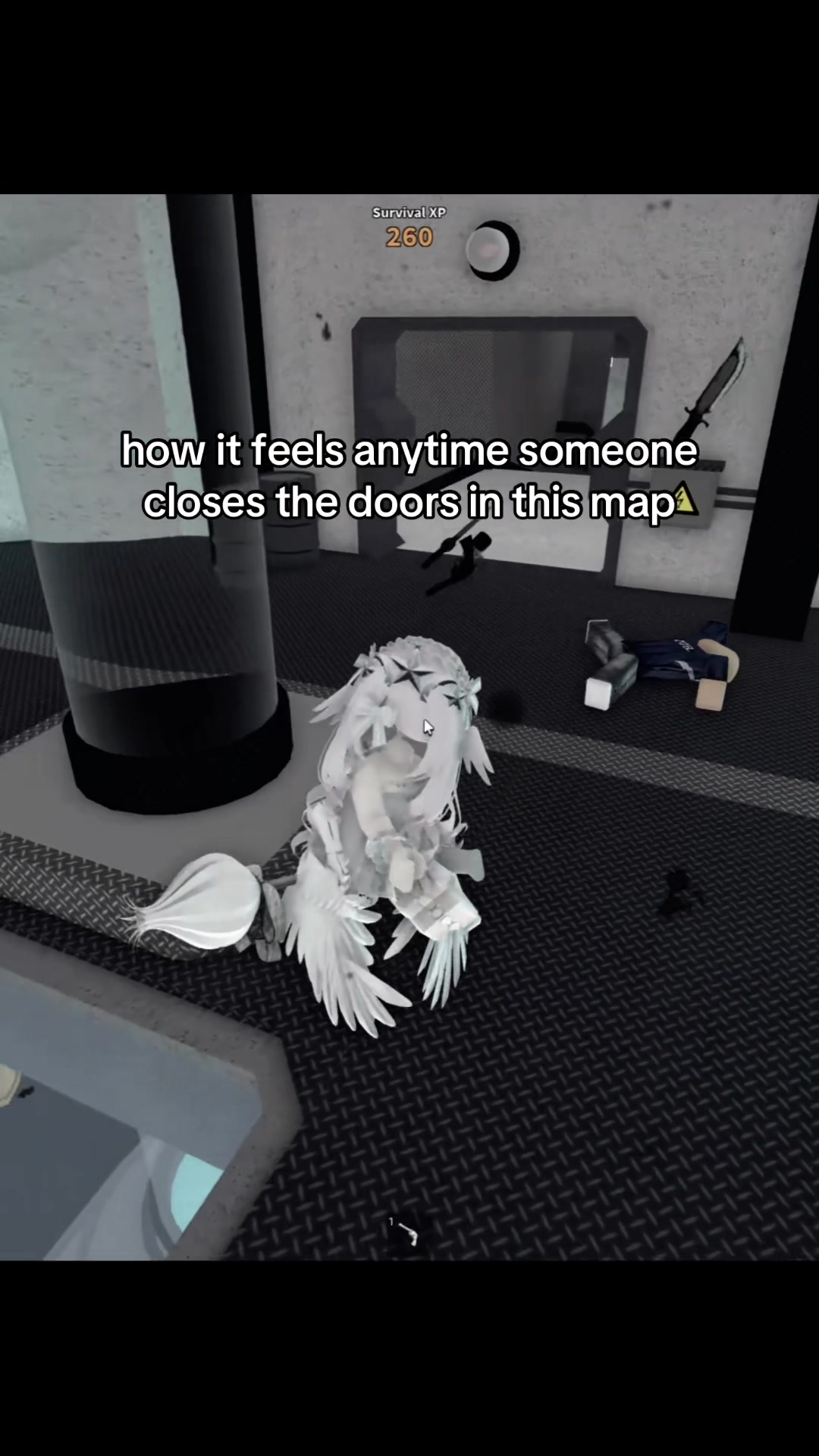 @koo