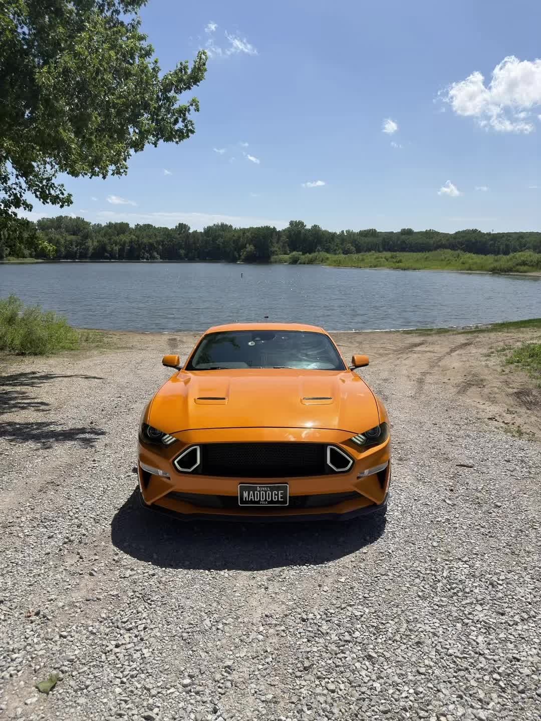 @LaVidaDeBori787PR🇵🇷🐺