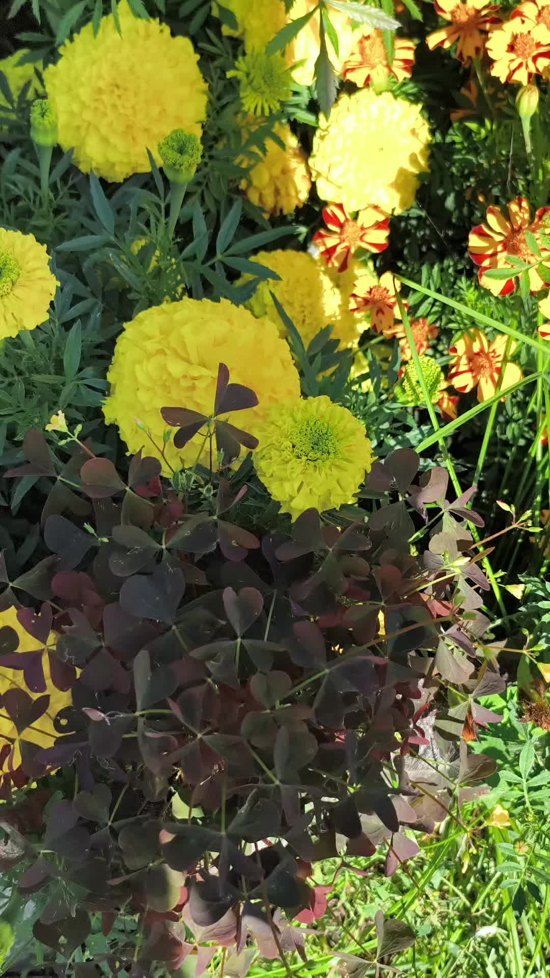 @Ольга🌷