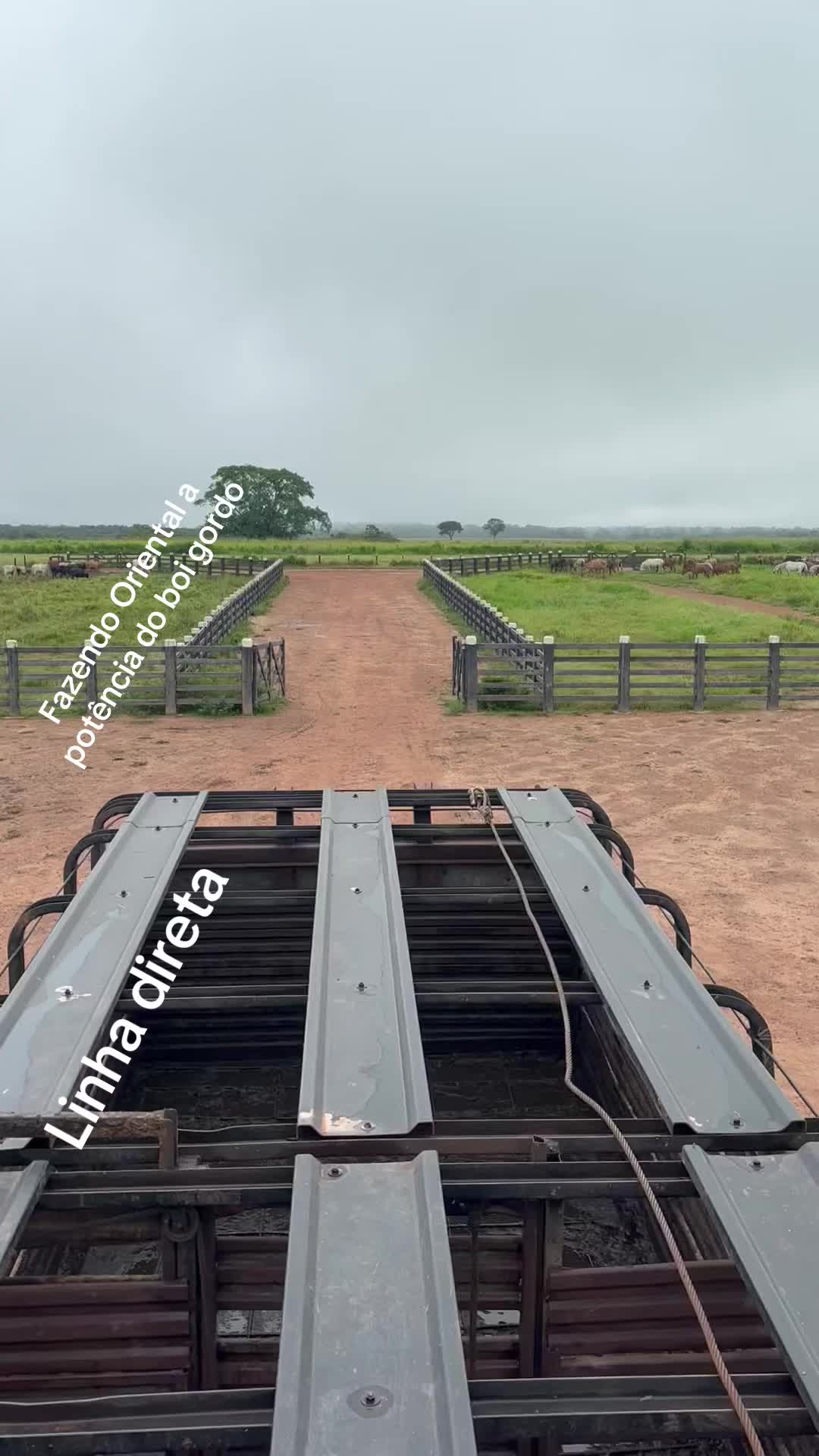 @evandolimarodrigu