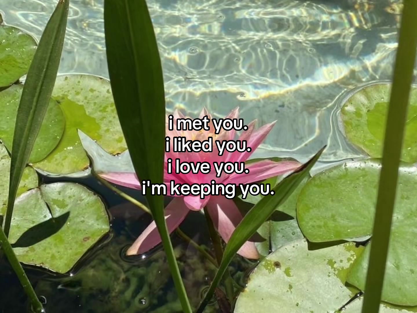 @flowercorrre