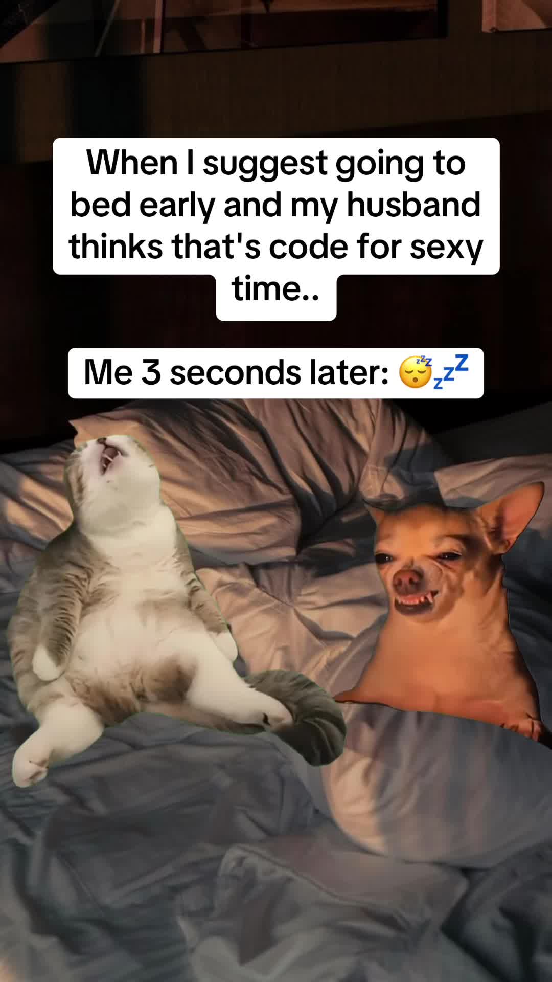 @kalico386
