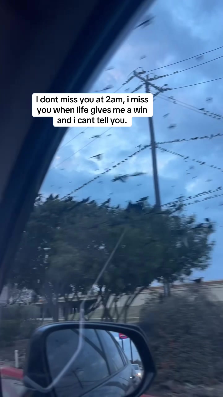 @Qoutes