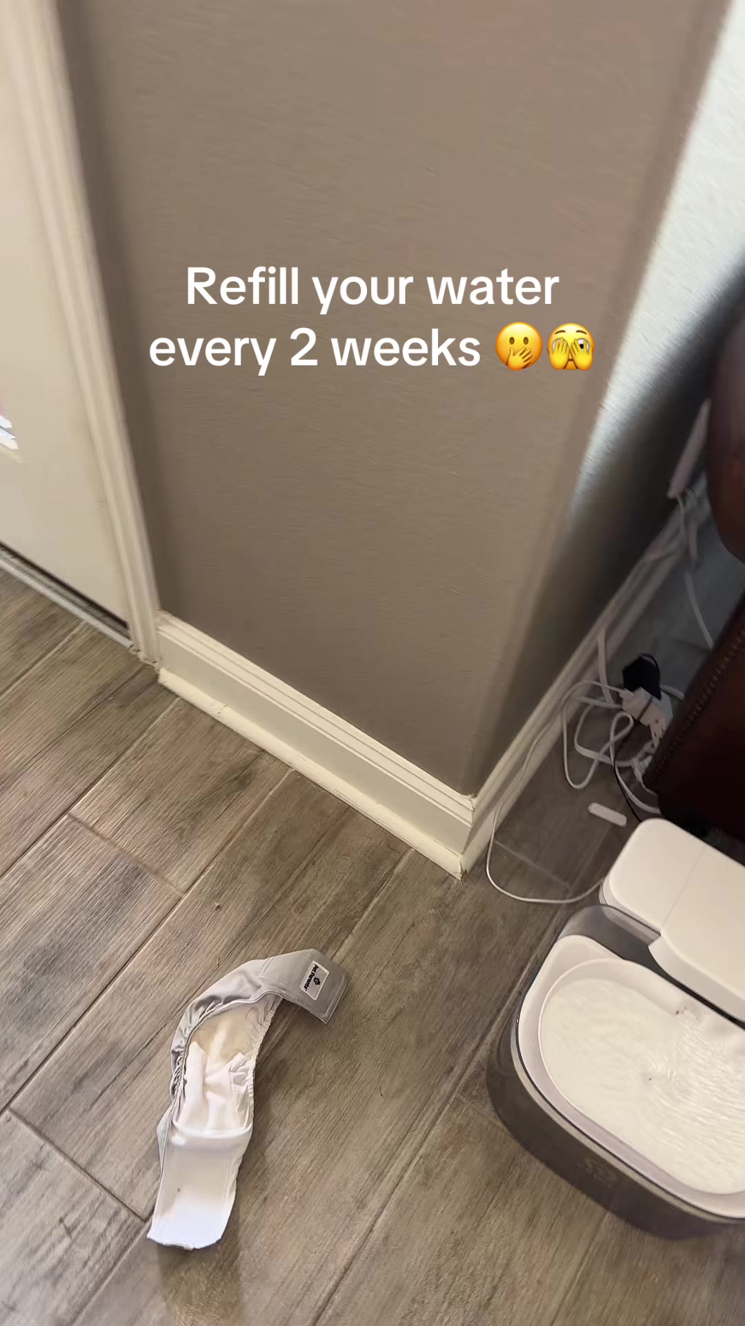 @mjvanicek