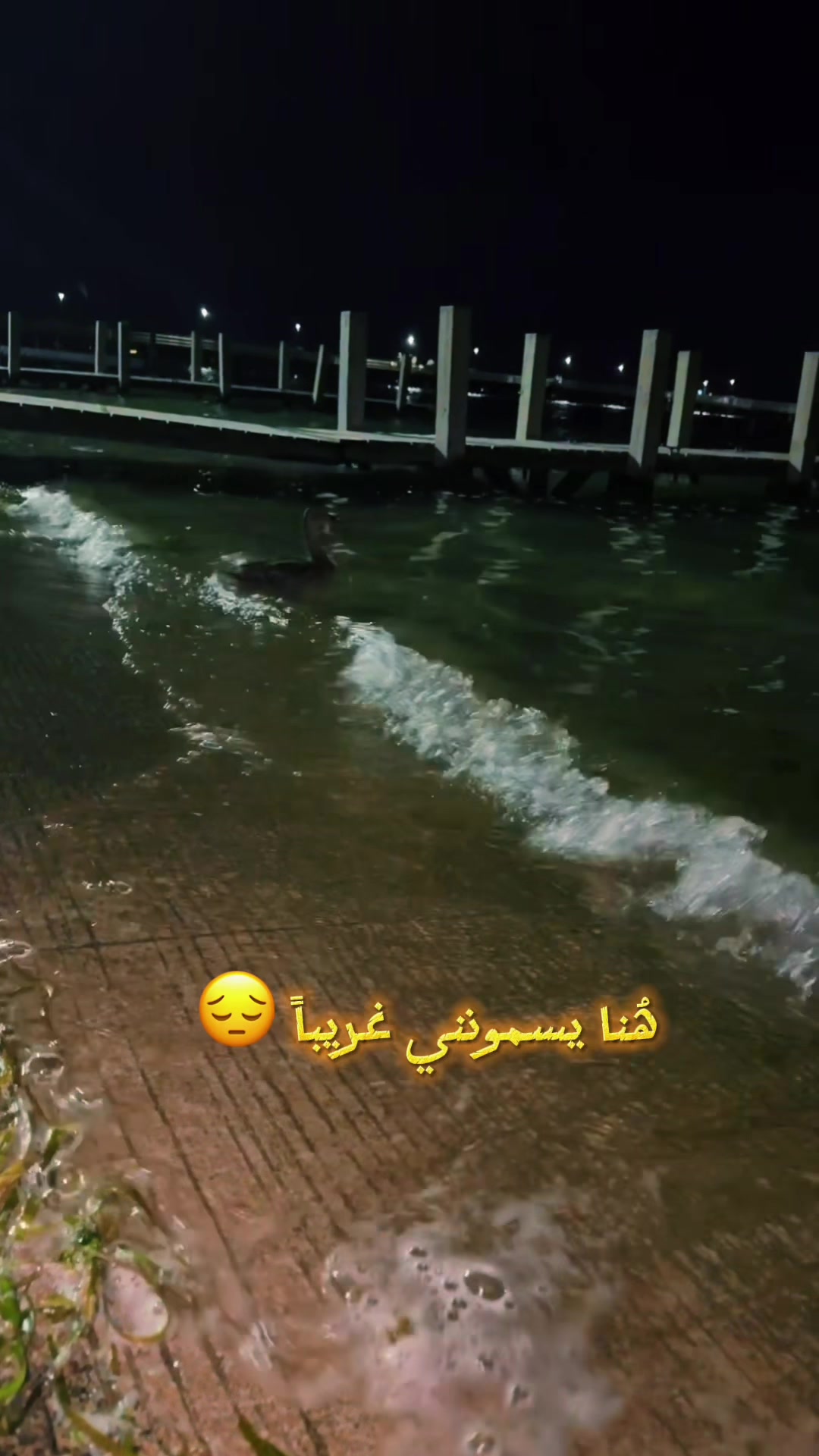 @Najwa Os