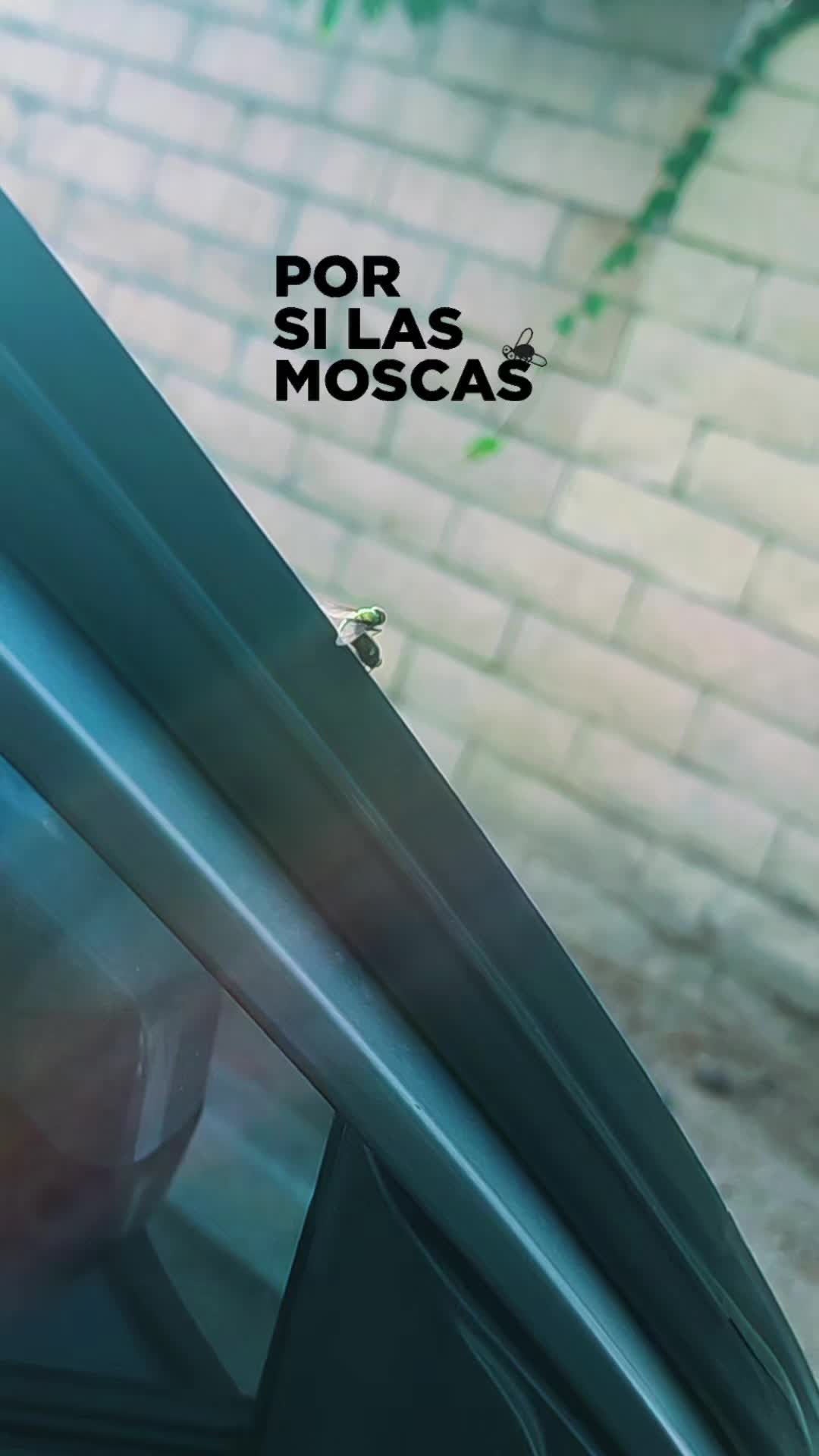 @Traviesa562