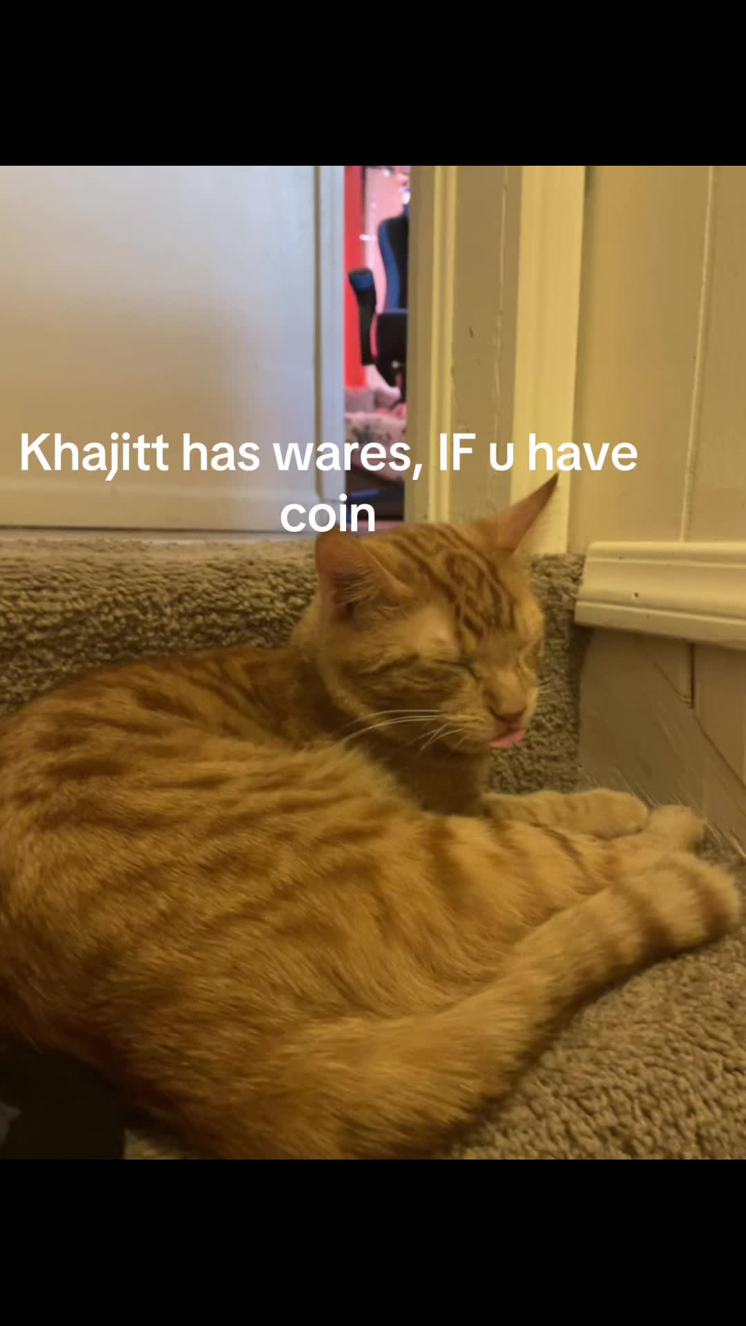 @kourtneyfrenz