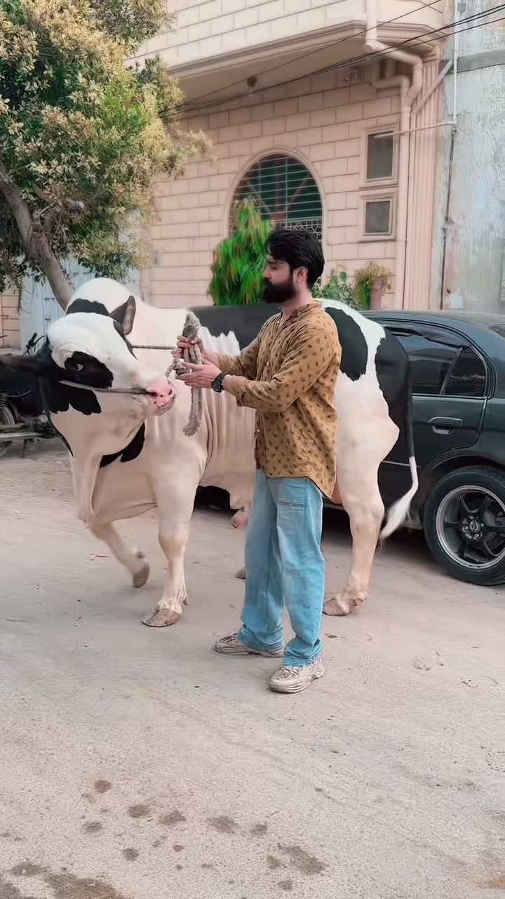 @SuFi Rasheed,,