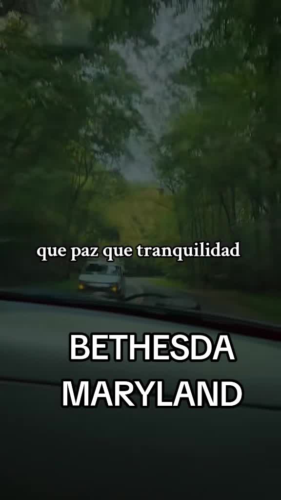 @FERNANDOJr.🧔&zwj;♂️S&Aacute;NCHEZ🐺🇭🇳