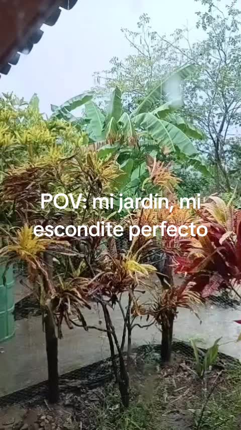 @lucymanzano