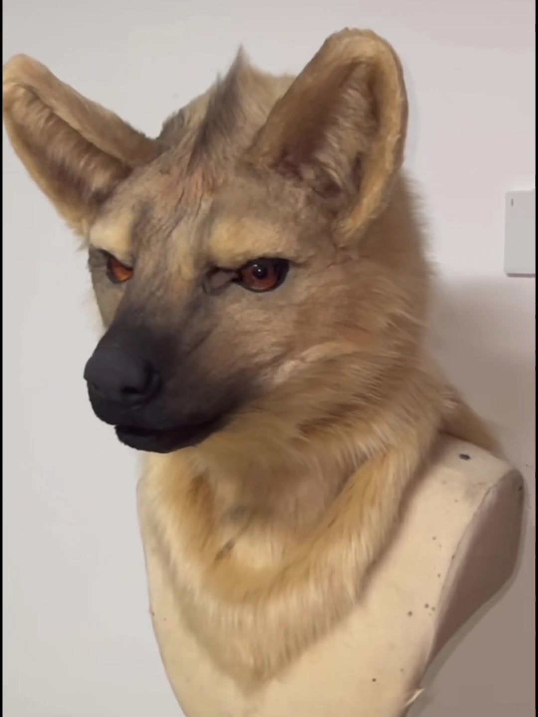 @RealFur