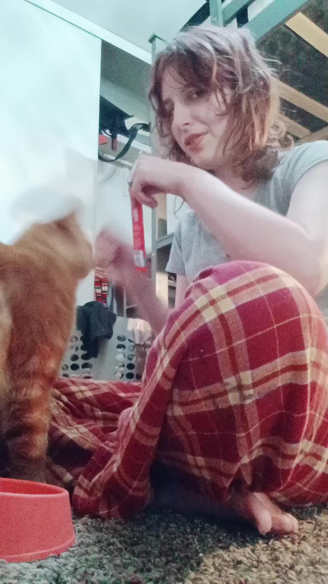 @Trash_Panda660