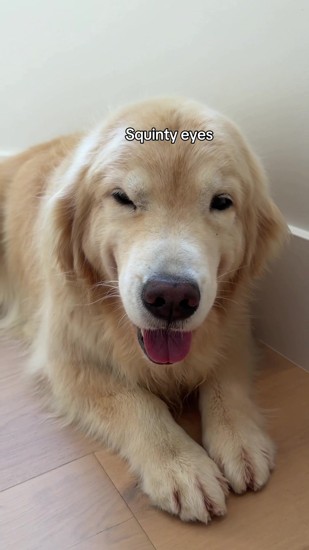 @Maui, Ruby +Hugo