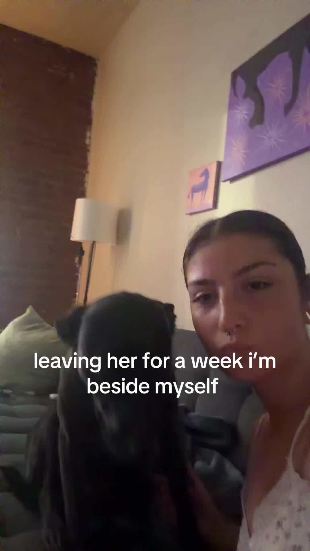 @Taylorrose