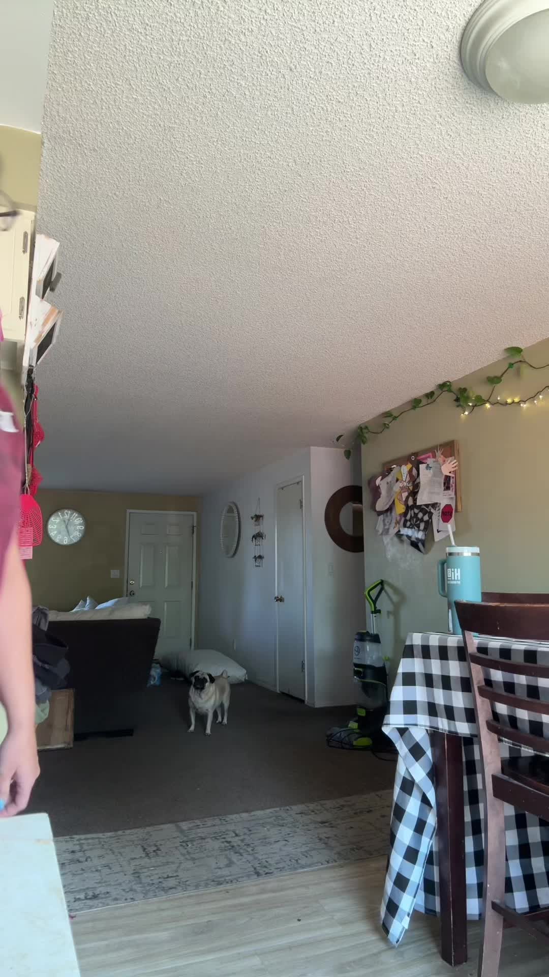 @dangmichelleiscool