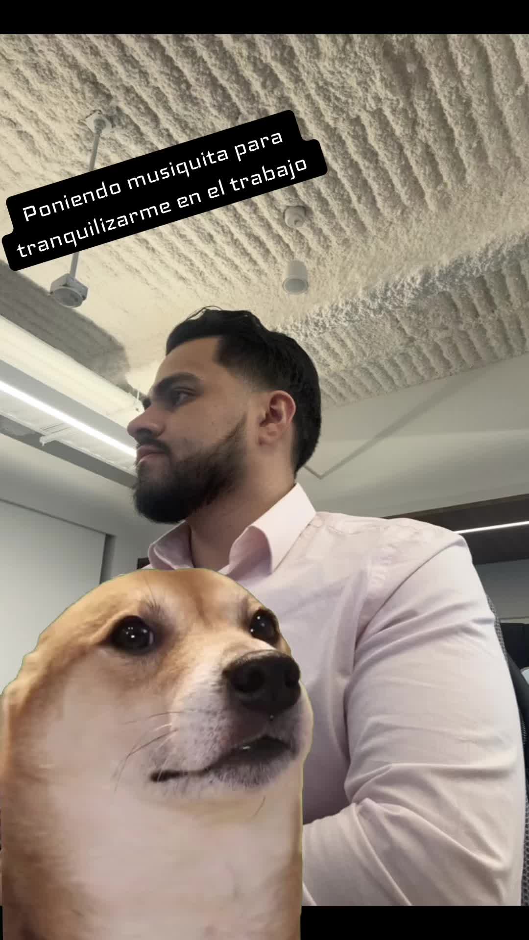 @Carlos R
