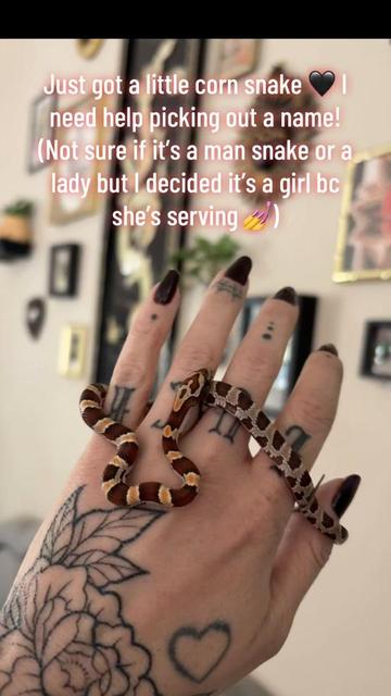 @ladylucktattoo_