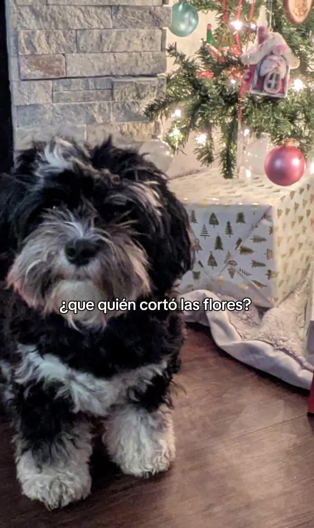 @shelly💚