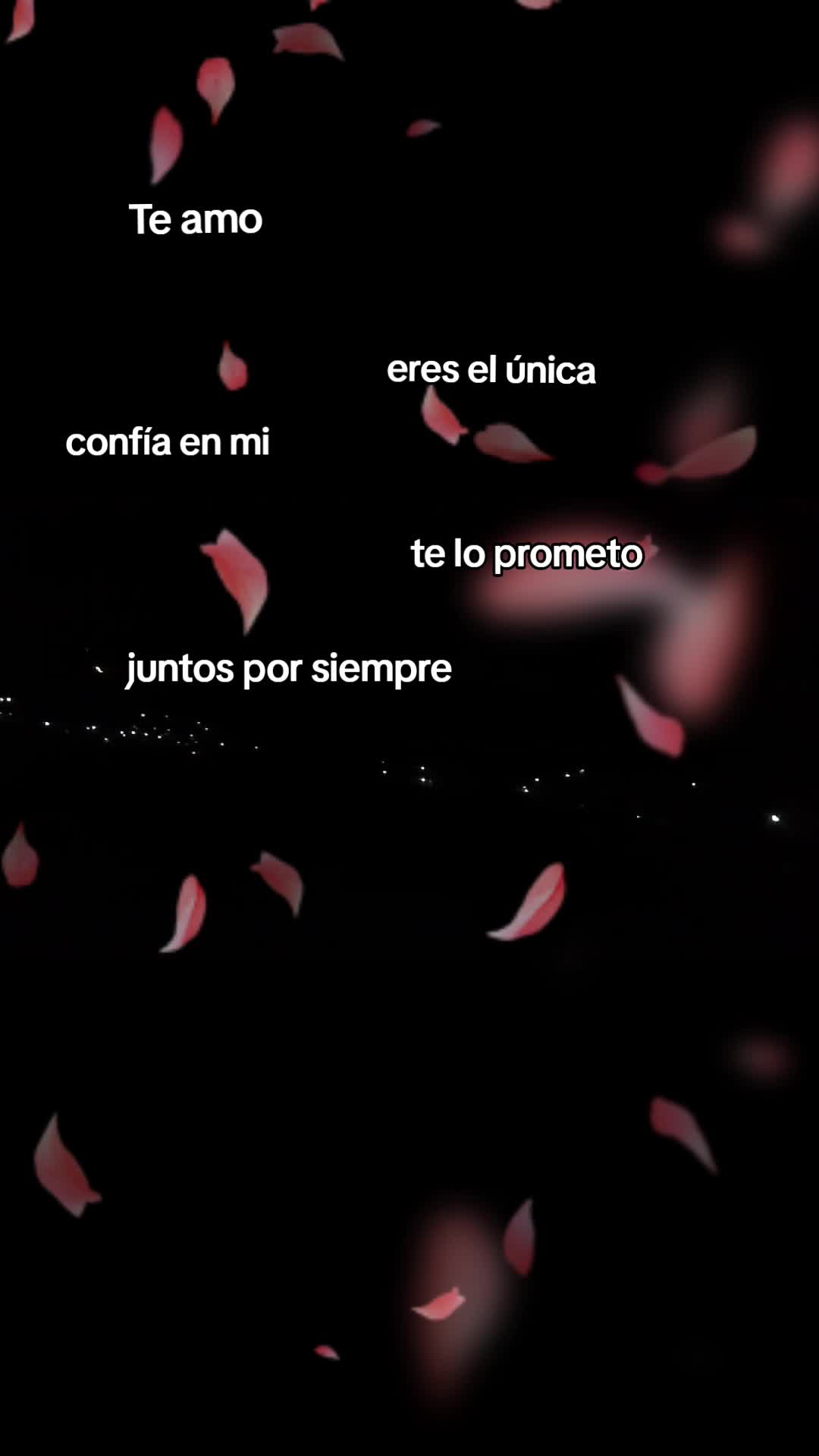 @team negro 🖤🖤