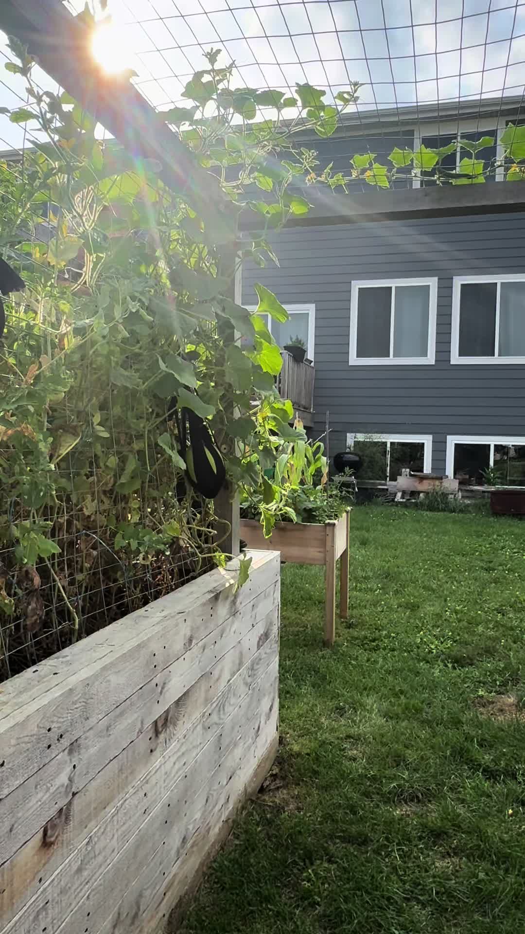 @SaraRNAtHappyFunMicroOrchard