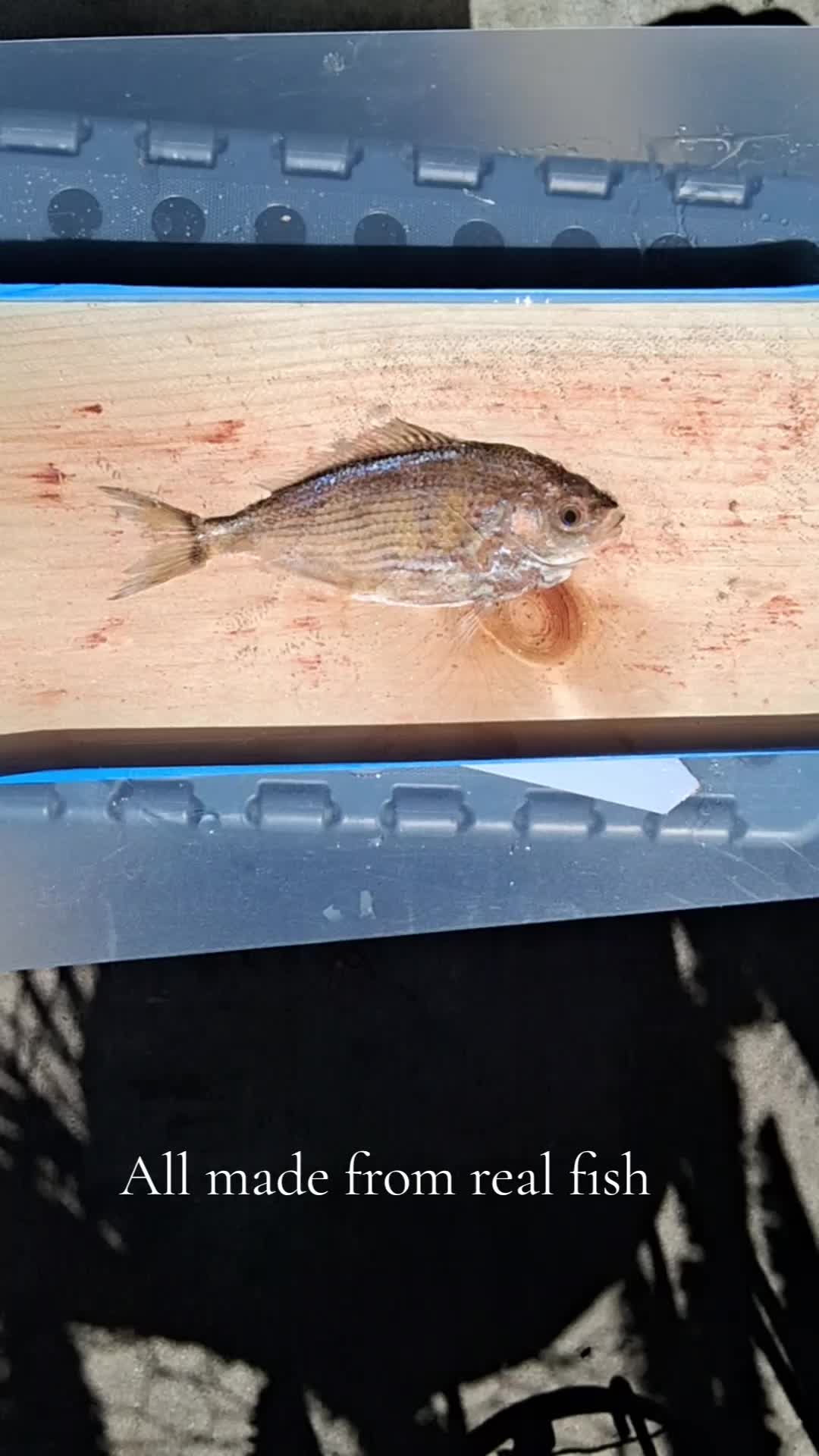 @Fish Skin Lures