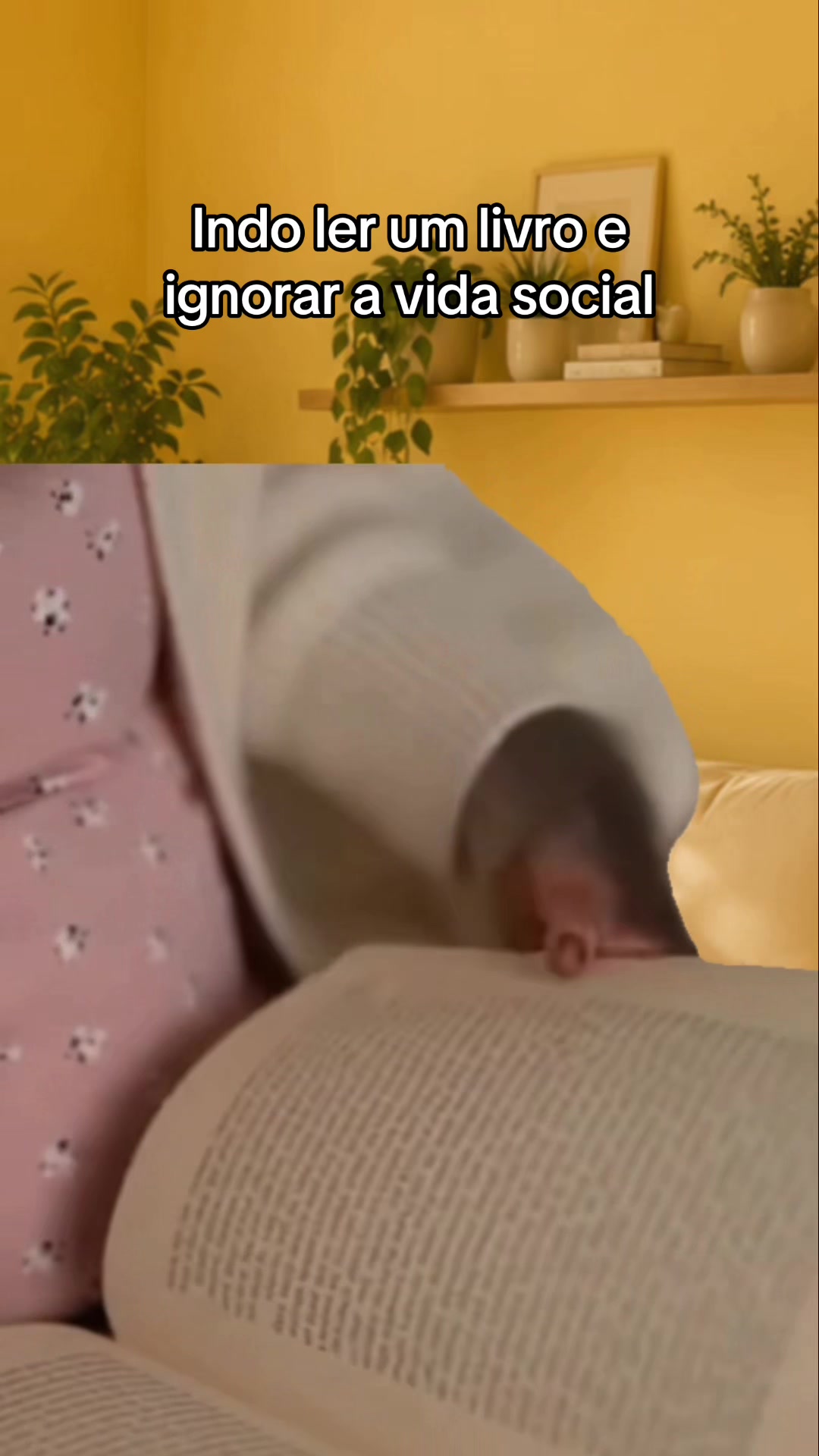@tababadeira