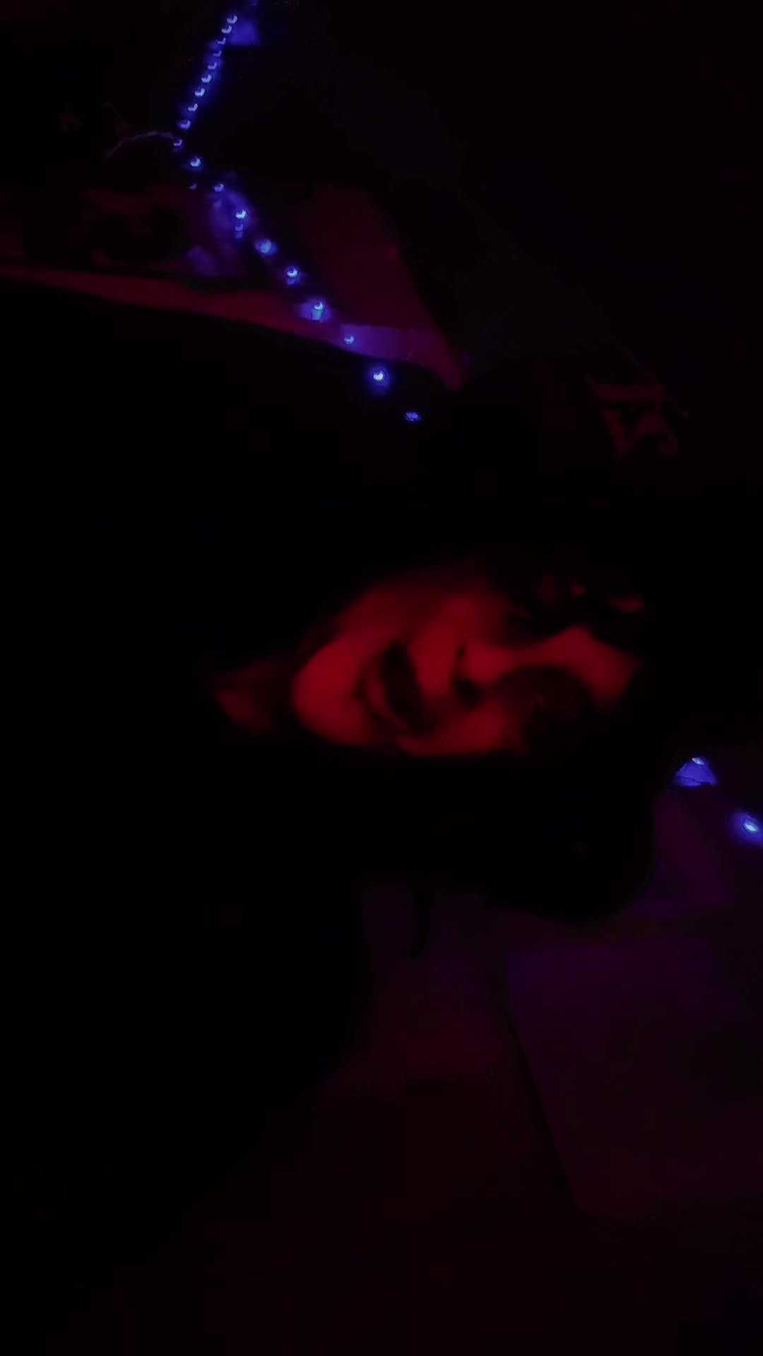 @Akira🦦