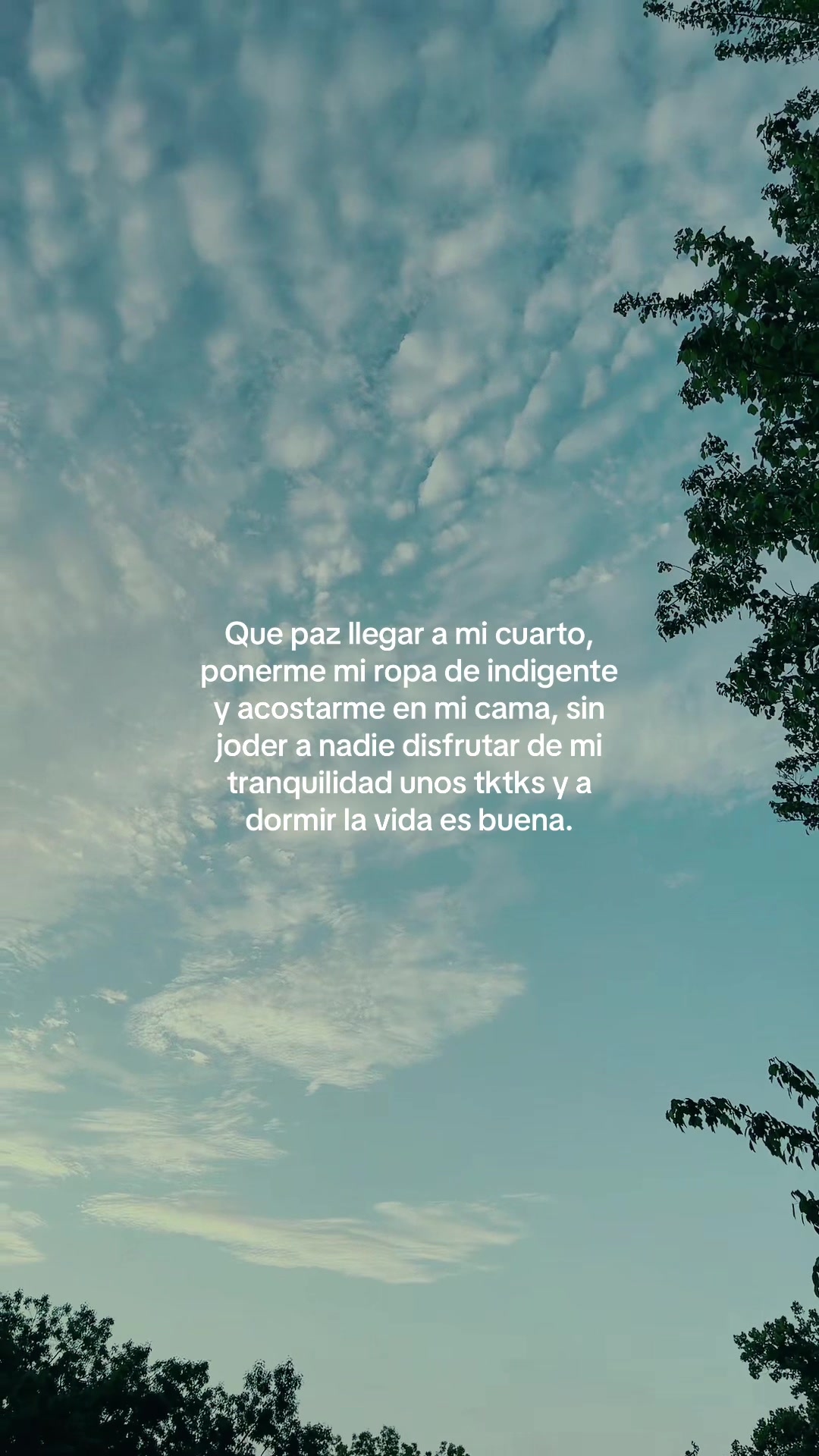 @Frases de todo un poco...