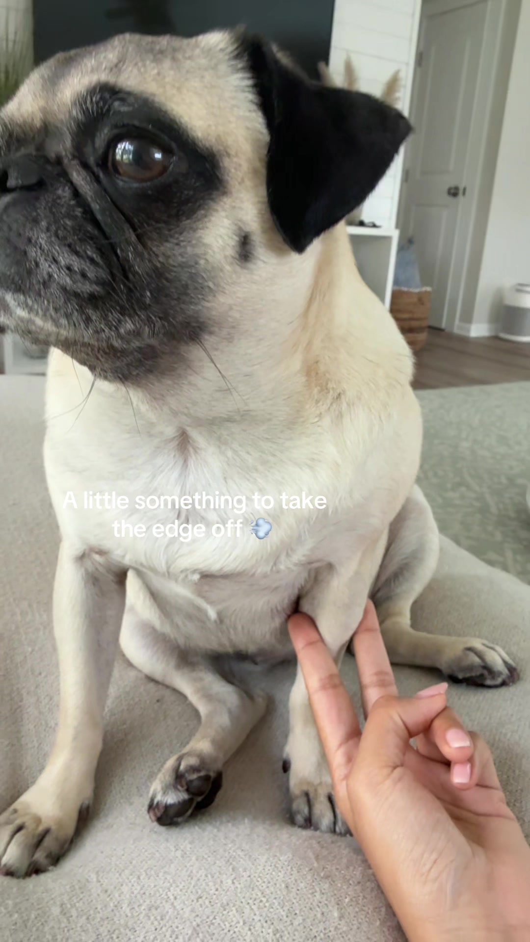 @sassypuggy