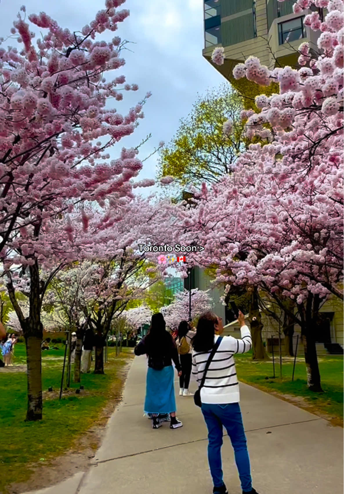 @Canada Vibes ๐จ๐ฆ๐