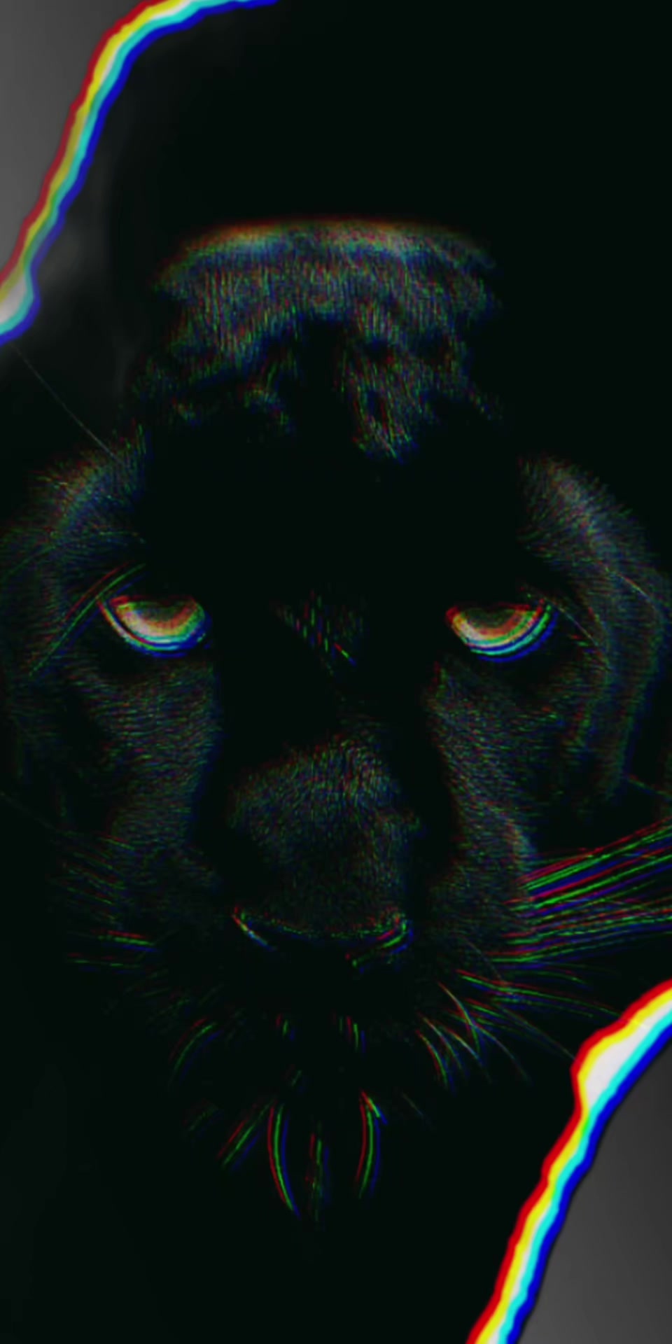 @Panter Black