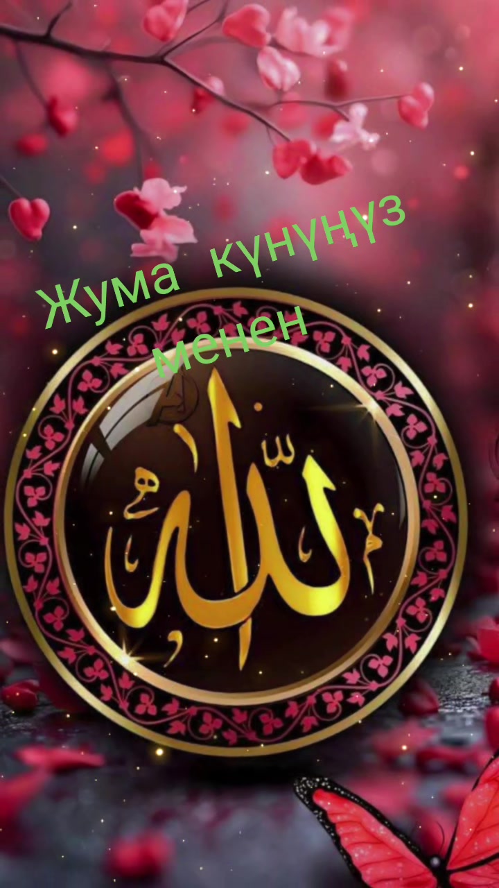 @🐬Gabi🤍