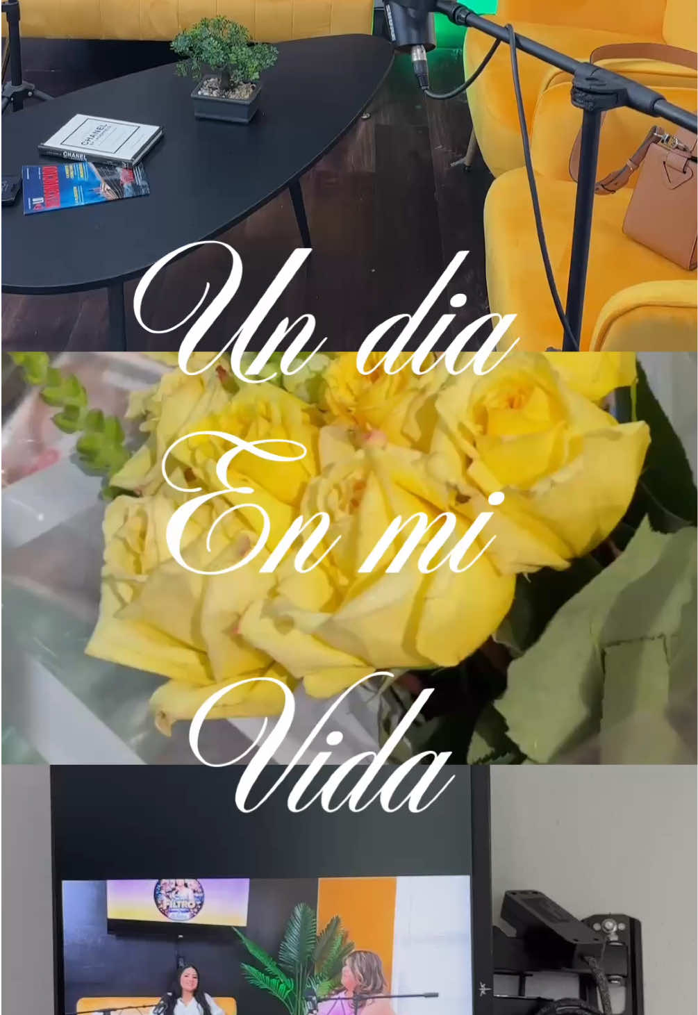@Julia Garcia