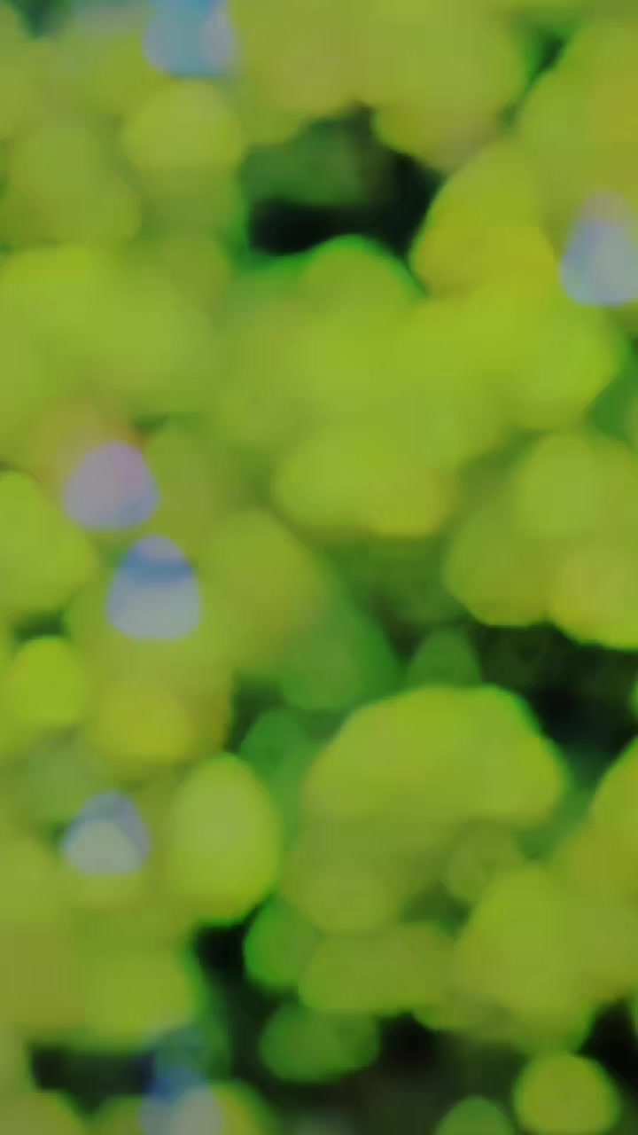 @علی حــــــن🫅