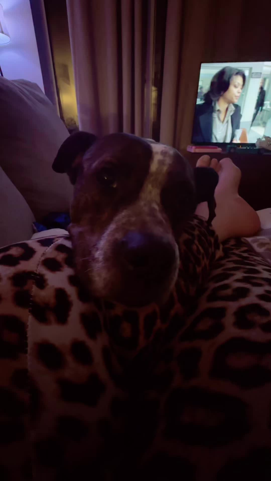 @ThatFreckledBinch
