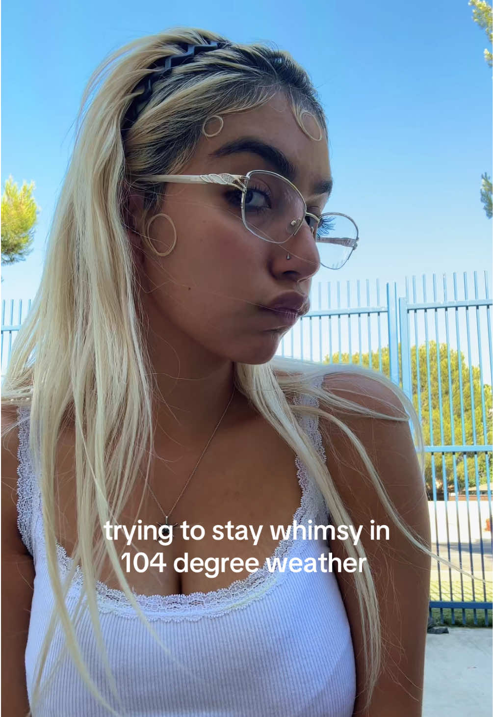 @internet diary