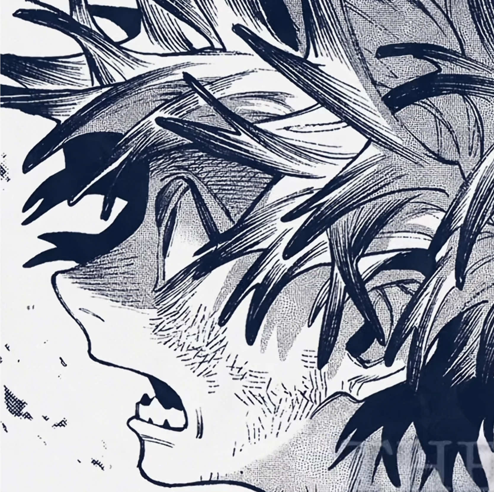 @Sage ☾₊‧