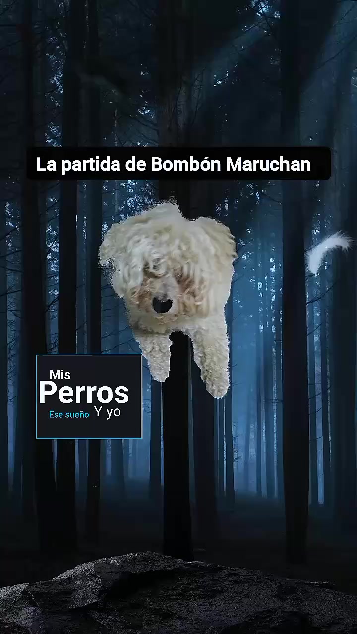 @Laura de los Perros