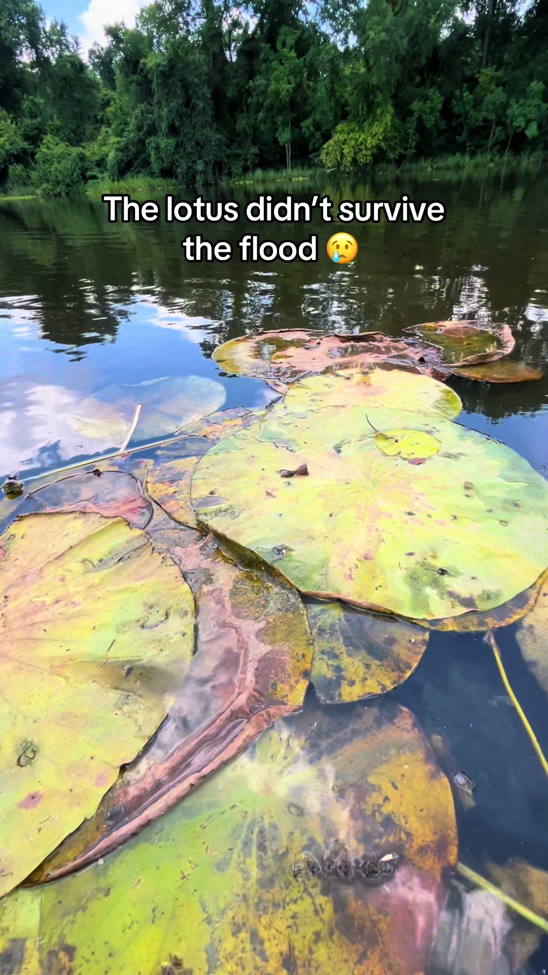 @Capital City Kayak Adventures