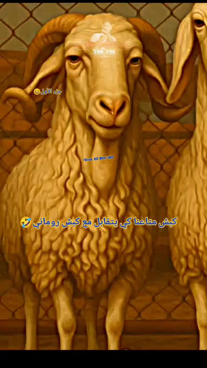 @𝕚ℂ𝔼⚡𝕎𝕆𝕃𝔽ㅤ𝄟⑅⃝𝟙𝟡𝟙𝟡✯••