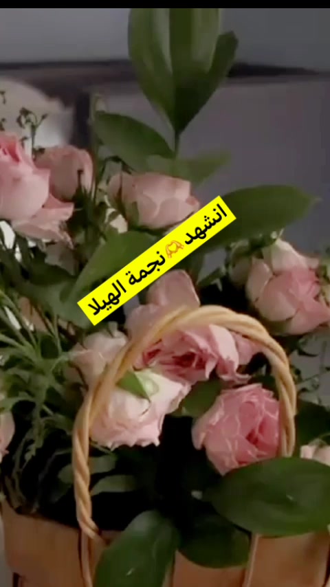@⭐️⭐️⭐️نجمة&ensp;الهيلا&ensp;وبس&ensp;&ensp;⭐️(١)⭐️