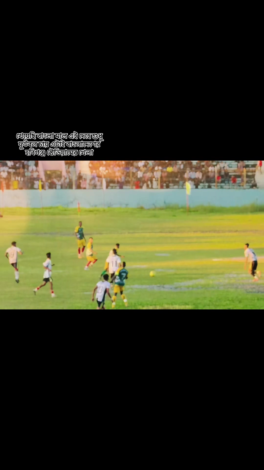 @sajidulislam4761