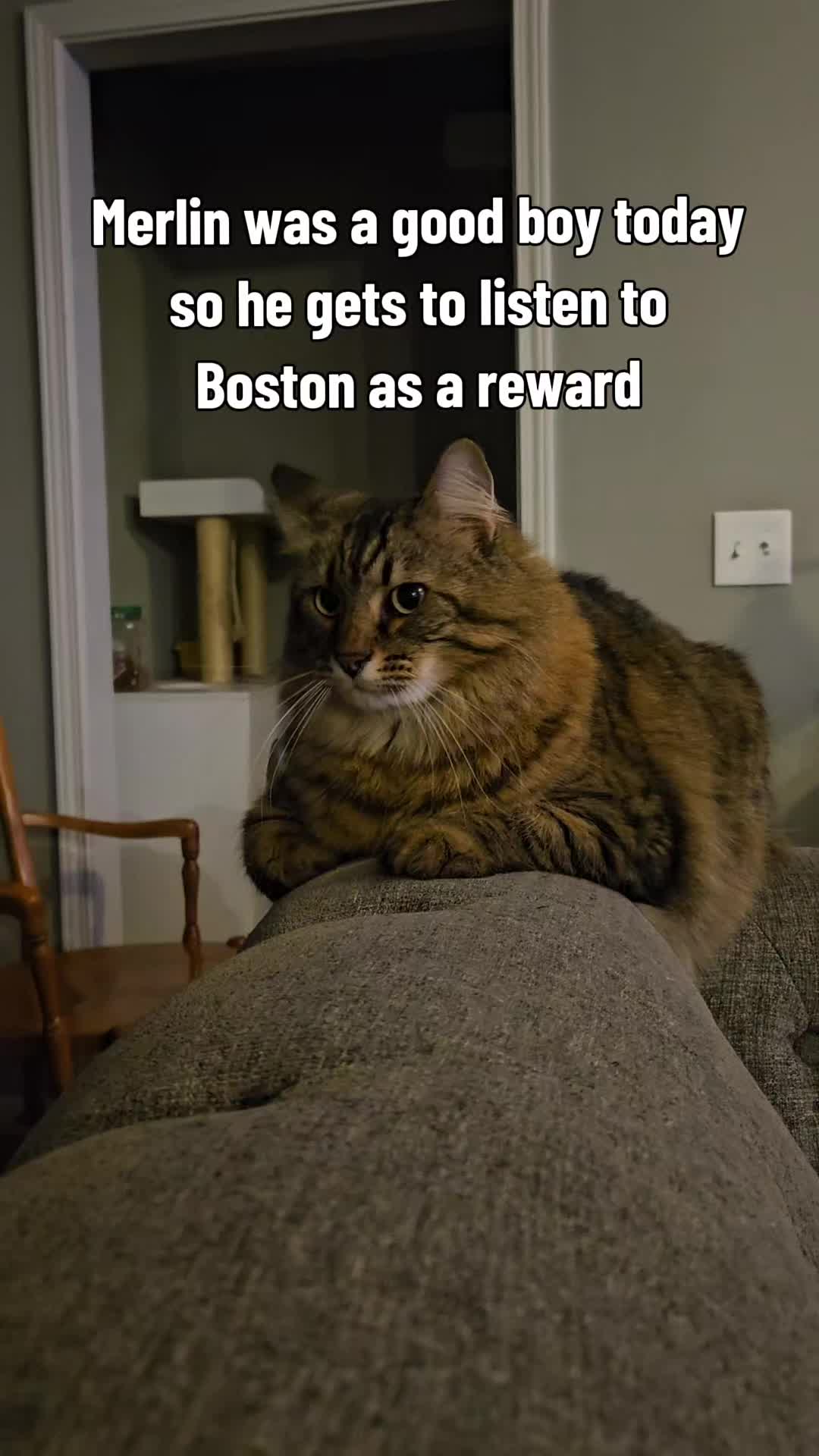 @rogerbiscuits