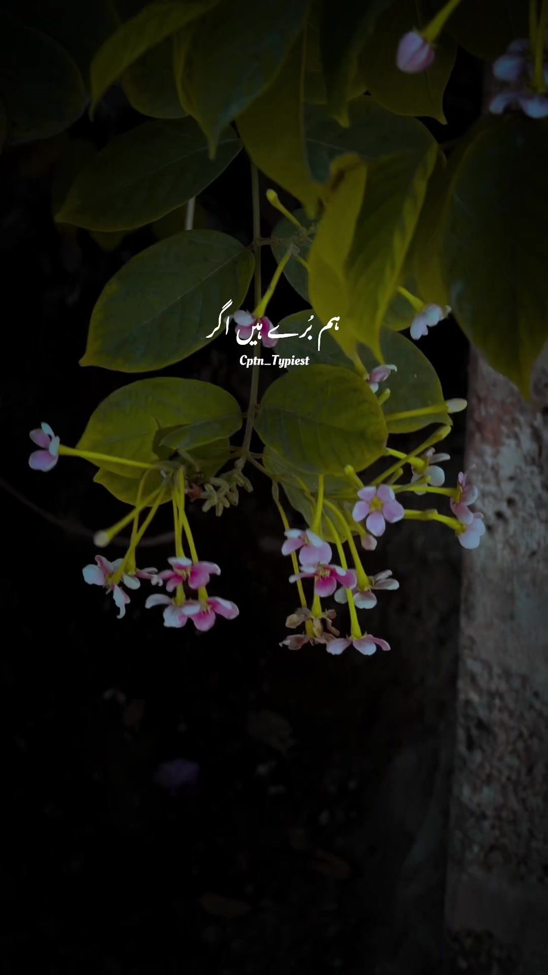 @💖𝙘𝙥𝙩𝙣_𝙩𝙮𝙥𝙞𝙚𝙨𝙩💝