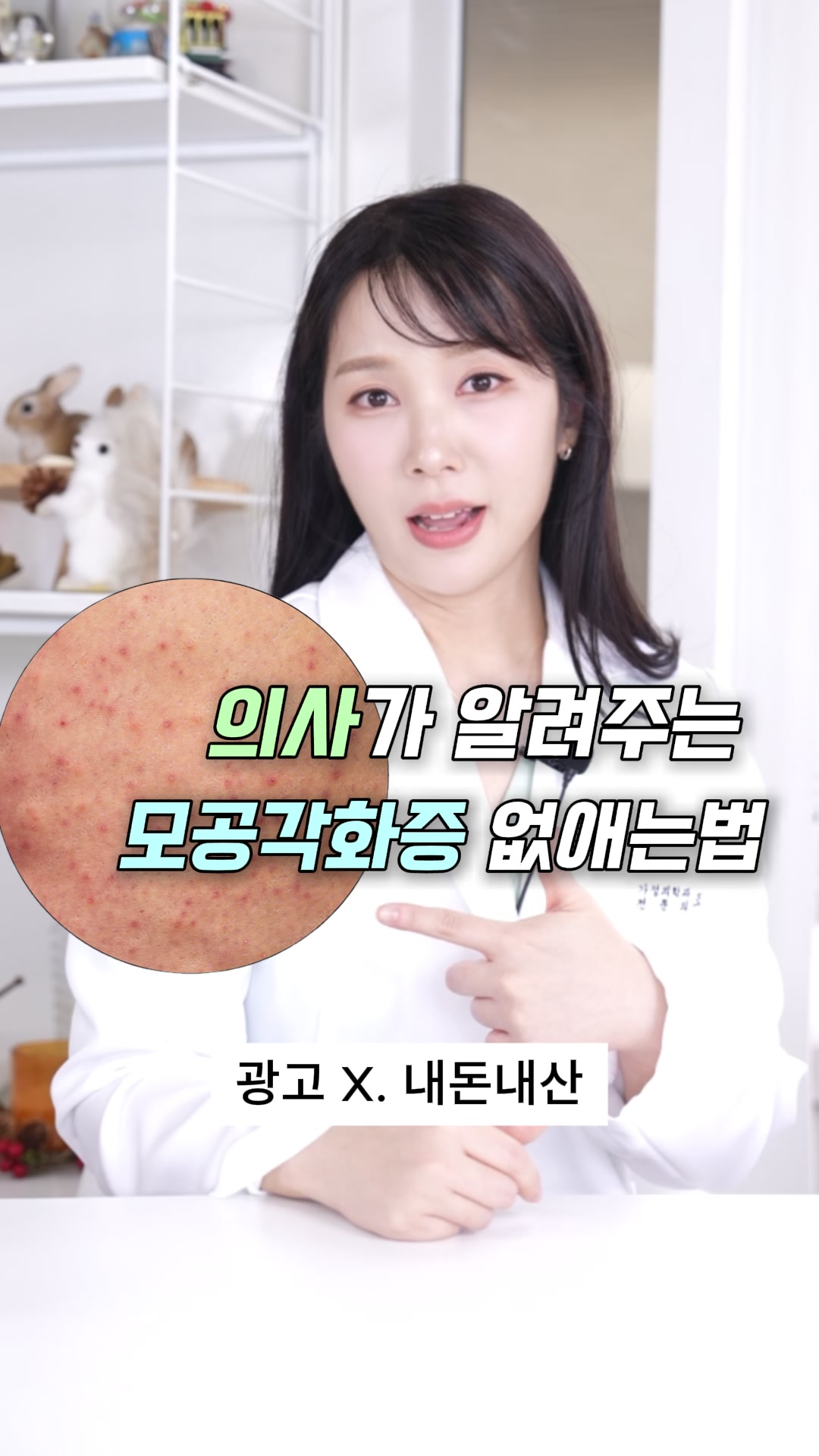 @닥터 헤일로