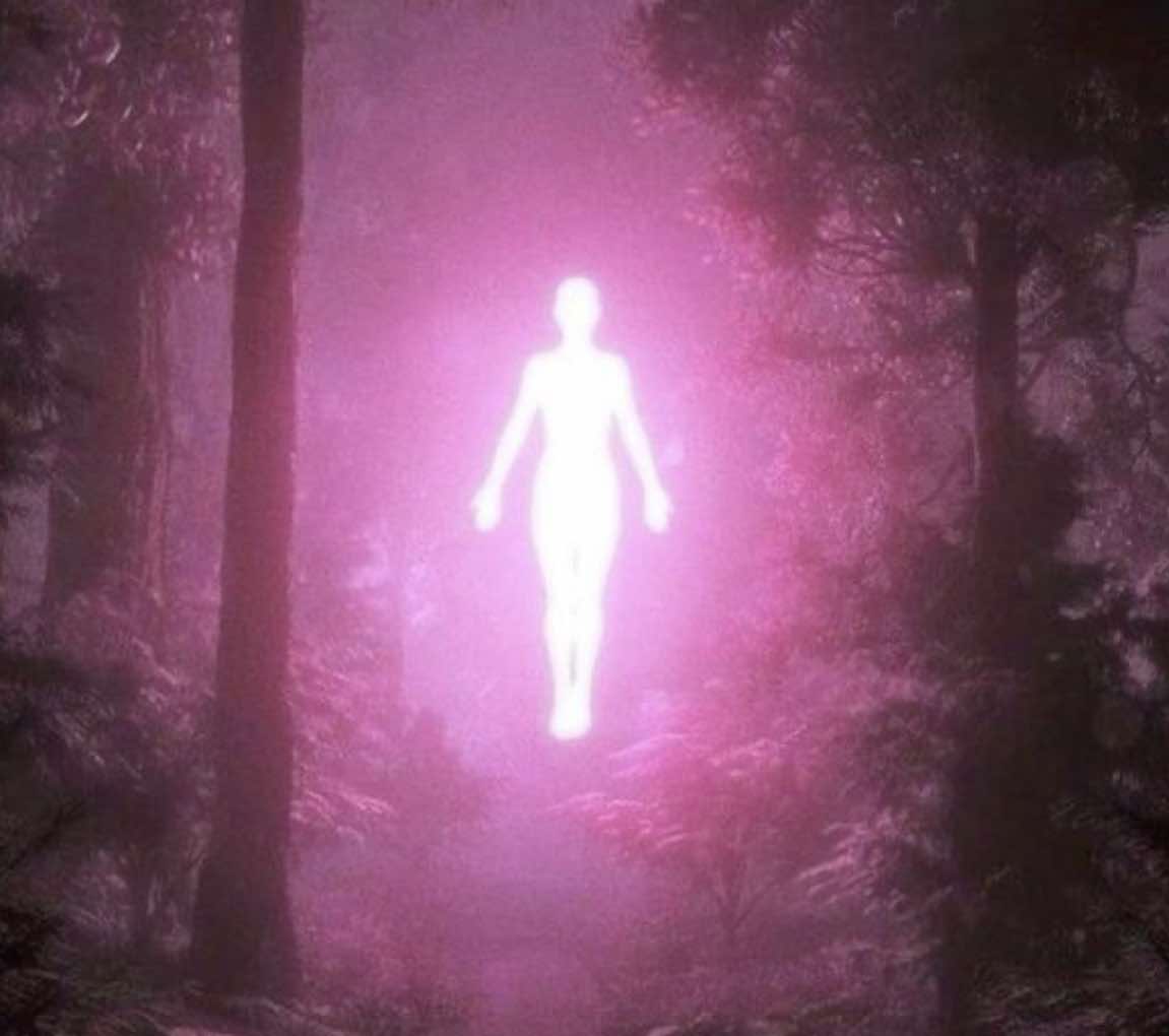 @𝐿𝒶𝓃𝒾𝑒˚.⋆꒰১ ໒꒱⋆.˚
