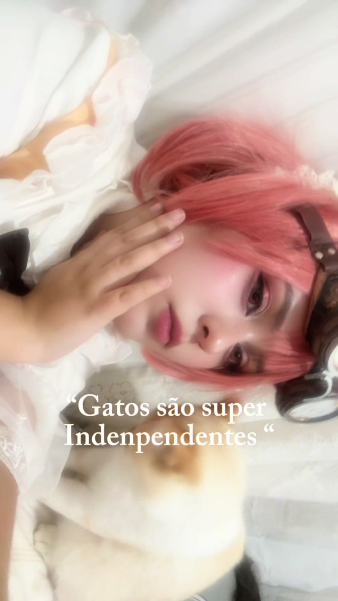 @shirocosplayer